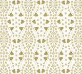 Kaleidoscope Garden