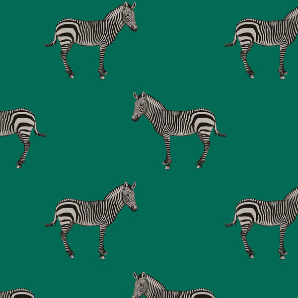 Mr Z. Zebra Wallpaper