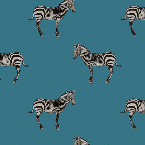 Mr Z. Zebra Wallpaper