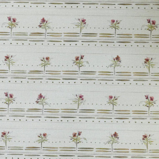Oleander Wallpaper