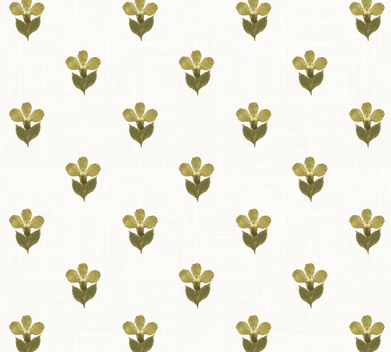 Pressed Petunia