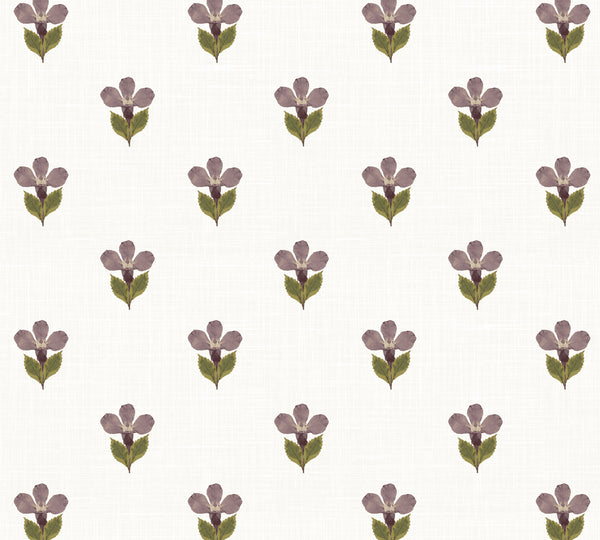 Pressed Petunia