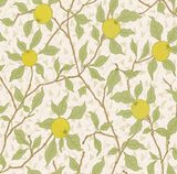 Persian Pear Wallpaper