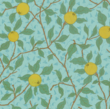Persian Pear Wallpaper