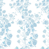 Growing Nasturtiums Wallpaper