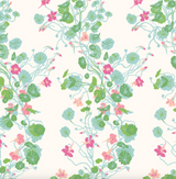 Growing Nasturtiums Wallpaper