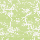 Petite Pillement Wallpaper