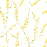 Forsythia Wallpaper