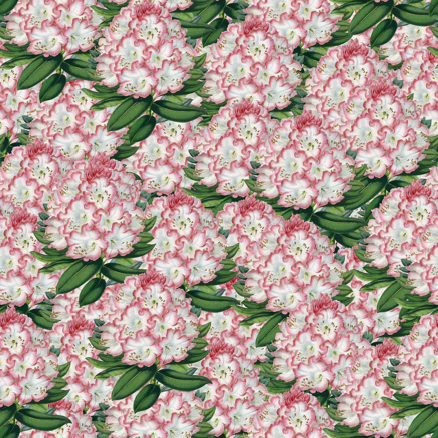 Spring Forever Floral Wallpaper – The Lot Showroom