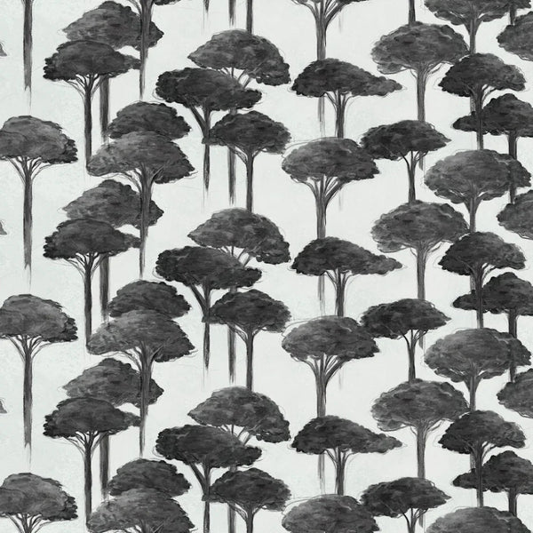 Umbrella Pine Wallpaper