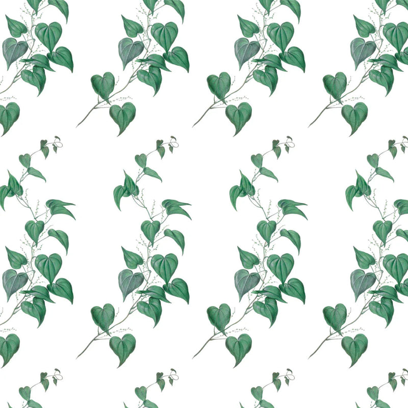 Vines Botanical Wallpaper