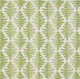 Wild Fern