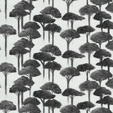Umbrella Pine Wallpaper
