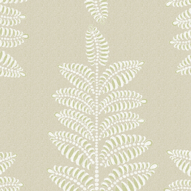 Chiswick Fern