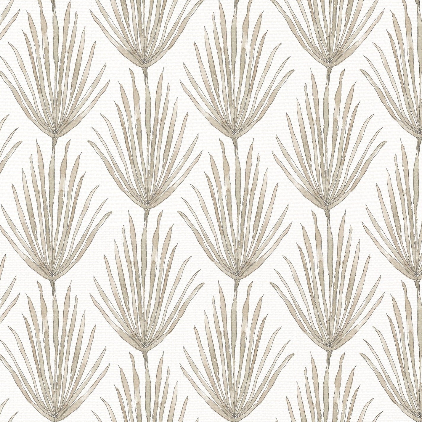 Palm Parade – The Lot Showroom